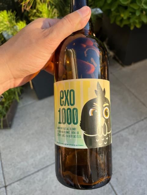 Exo1000 5.5%, Brasserie La Poule, France