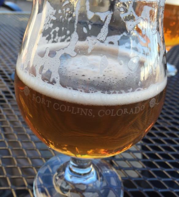 Experimental Hop #6 Pale Ale 5.9%, Odell Brewing Company, United States