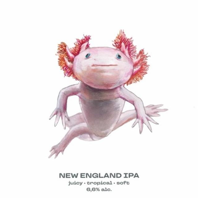 Extinction Is Forever!: Axolotl 6.6%, Brauhaus Bevog, Austria