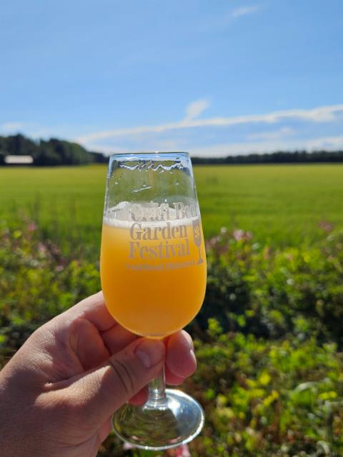 fallen empires 8.0%, Orchestrated Minds Brewing, United States