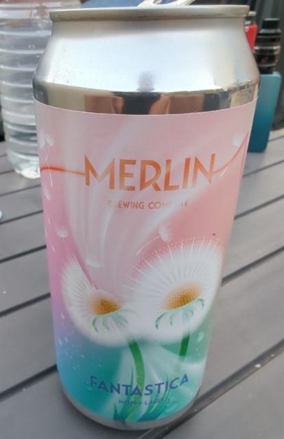 Fantastica 4.5%, Merlin Brewing Company, France