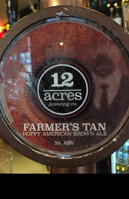 Farmer's Tan 5.0%, 12 Acres Brewing Company, Ireland