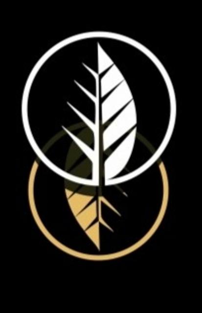 Fast car 8.2%, Deciduous Brewing Company, United States