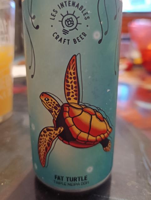 fat turtle, Les Intenables - Craft Beer