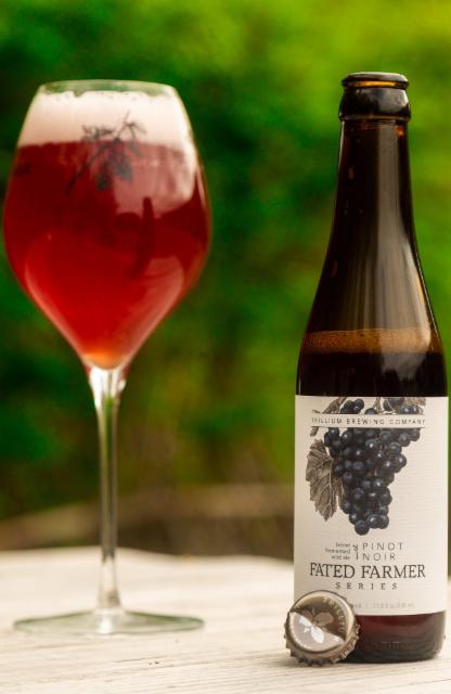 Fated Farmer: Pinot Noir 7.8%, Trillium Brewing Company, United States