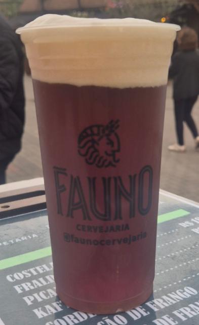 Fauno Irish Red Ale 4.8%, Fauno, Brazil