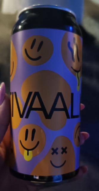 FESTIVAALI SOUR 5.2%, Panimo HIMO, Finland