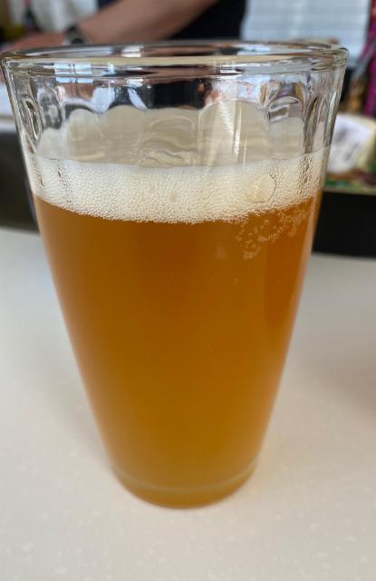 Festival Girls 5.5%, Rhyme X Reason Brewery, New Zealand