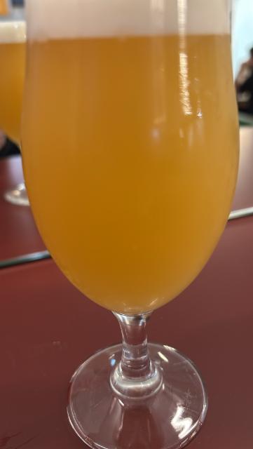 Fever, Oso Brew Co.