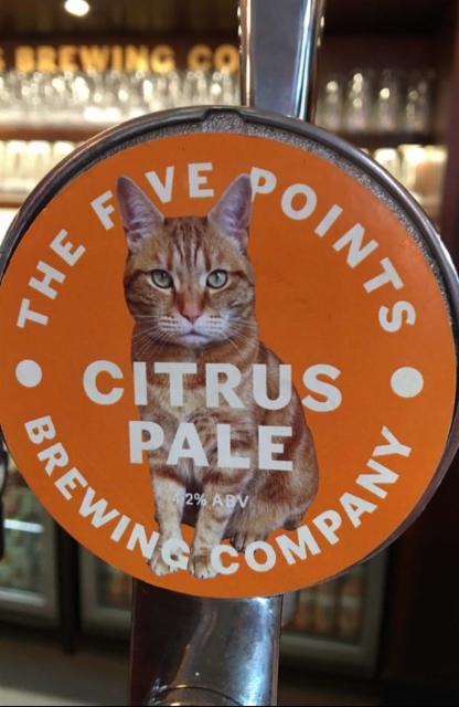 Field Day Citrus Pale 4.2%, The Five Points Brewing Company, England