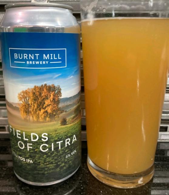 Fields Of Citra 6.0%, Burnt Mill Brewery, England