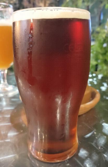 Firebird 4.1%, Vale Brewery, England