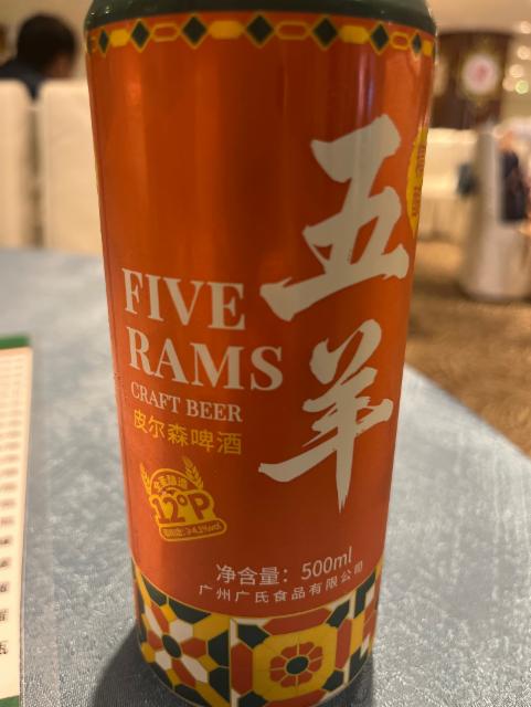 Five rams 4.1%, Wuyang craft beer, China