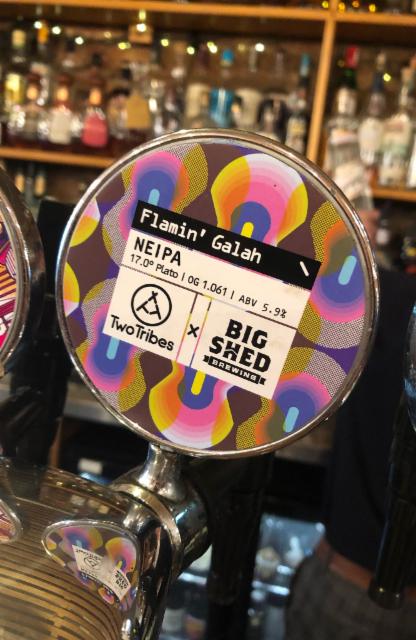 Flamin Galah 5.9%, Two Tribes, England