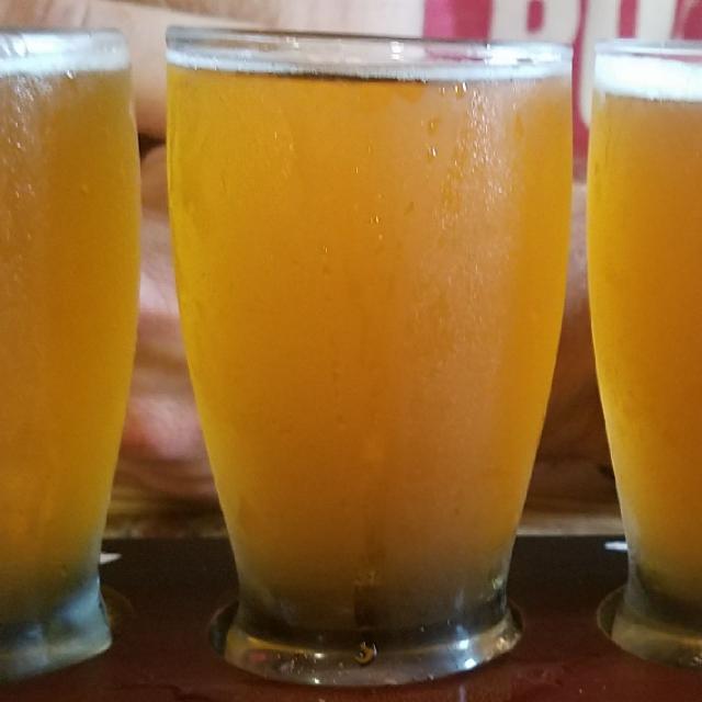 FLH Simcoe 8.0%, Steady Habit Brewing Company, United States