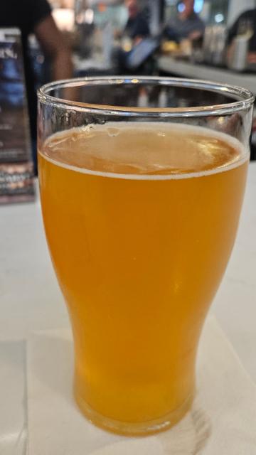 florida bird, Orange County Brewers