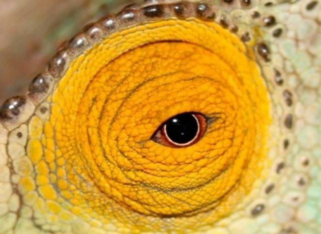 Florida Weisse Fruit De La Passion 4.0%, Brasserie Popihn, France