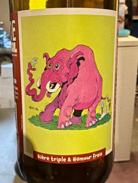 Fluide glacial triple belge 8.0%, Brasserie Goudale (De Gayant), France