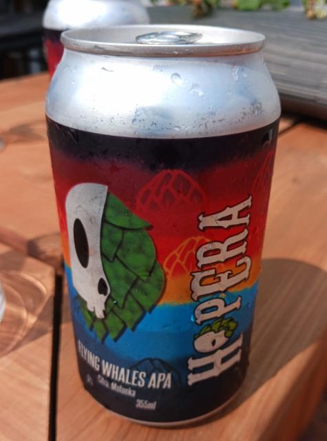 Flying Whales APA 5.0%, Hopera, Canada