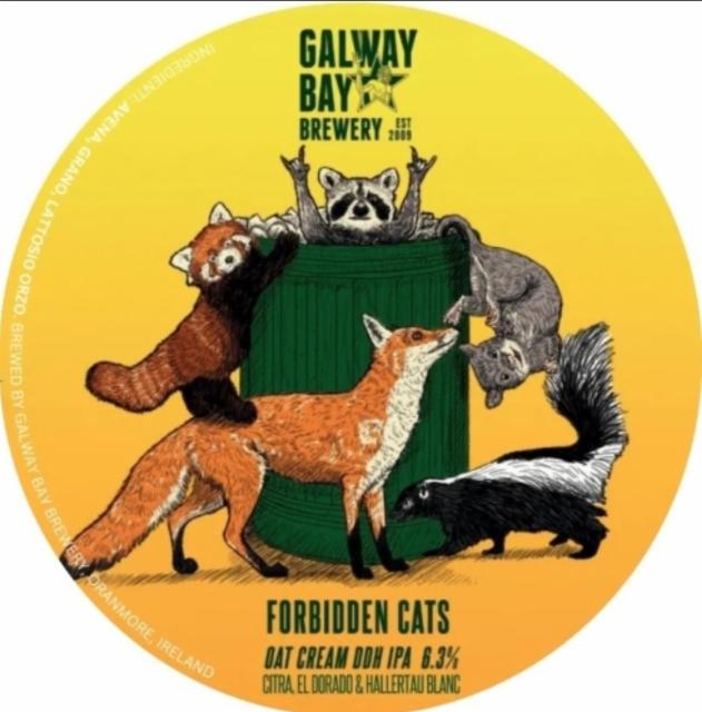 Forbidden Cats 6.3%, Galway Bay Brewery, Ireland