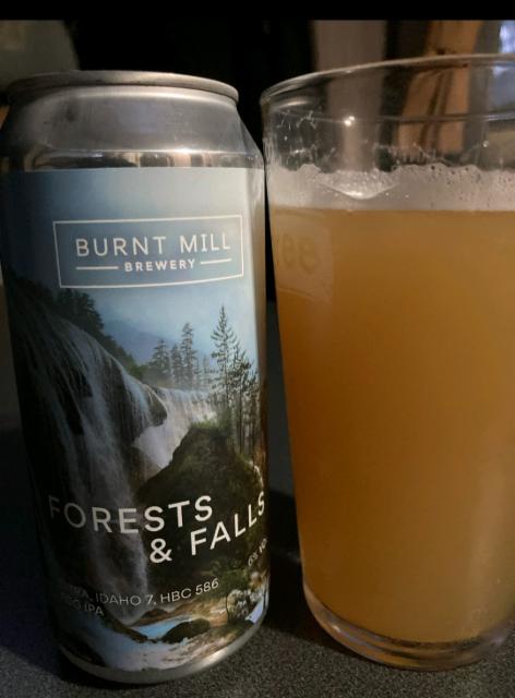 Forests & Falls 6.0%, Burnt Mill Brewery, England