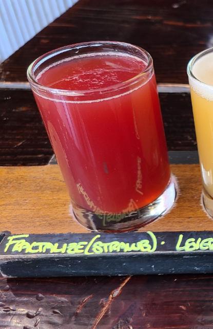 Fractalize (Strawberry, Raspberry, Cranberry, Orange) 8.0%, Ascension Brewing Company, United States