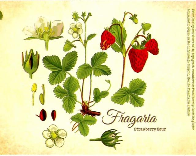 Fragaria 7.3%, Brasserie Craig Allan, France
