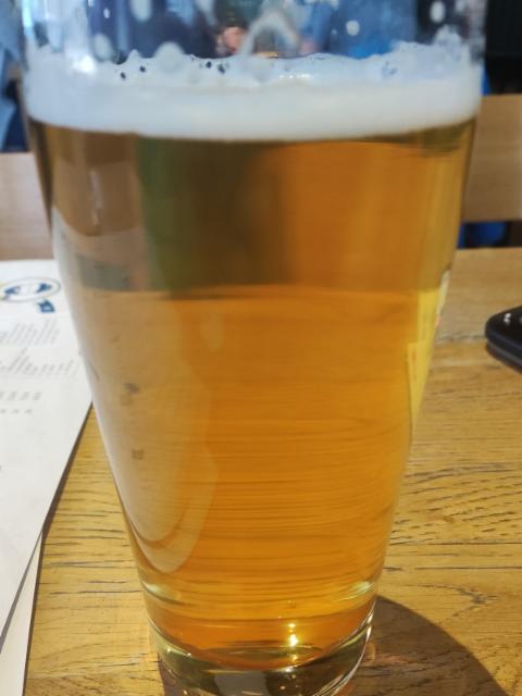 Friesenjung Pils 4.8%, Friesenjung, Germany