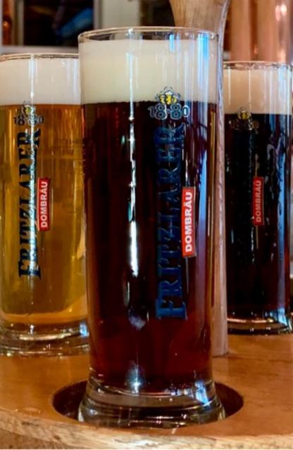 Fritzlarer Dombräu Dunkles 4.8%, Fritzlarer Dombräu, Germany