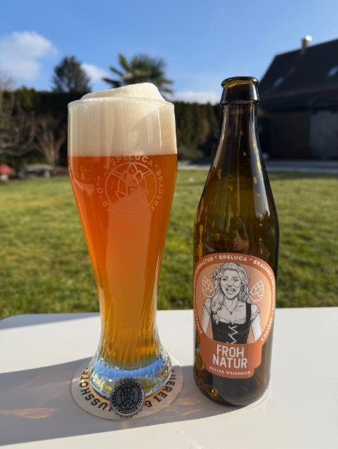 Frohnatur 5.0%, Brauerei Splügen AG, Switzerland