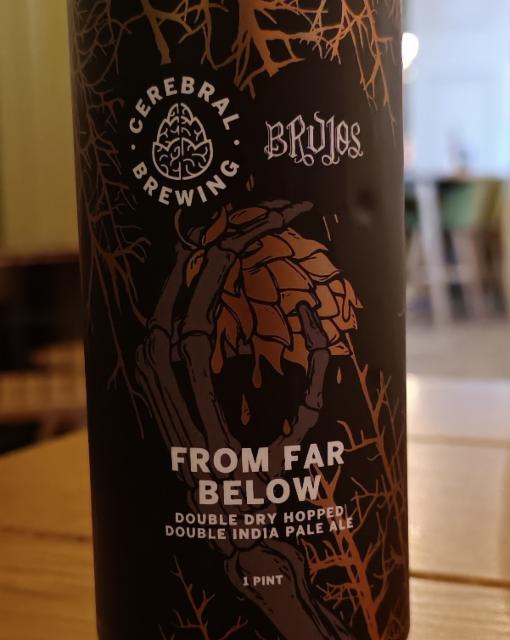 From Far Below 8.3%, Cerebral Brewing, United States