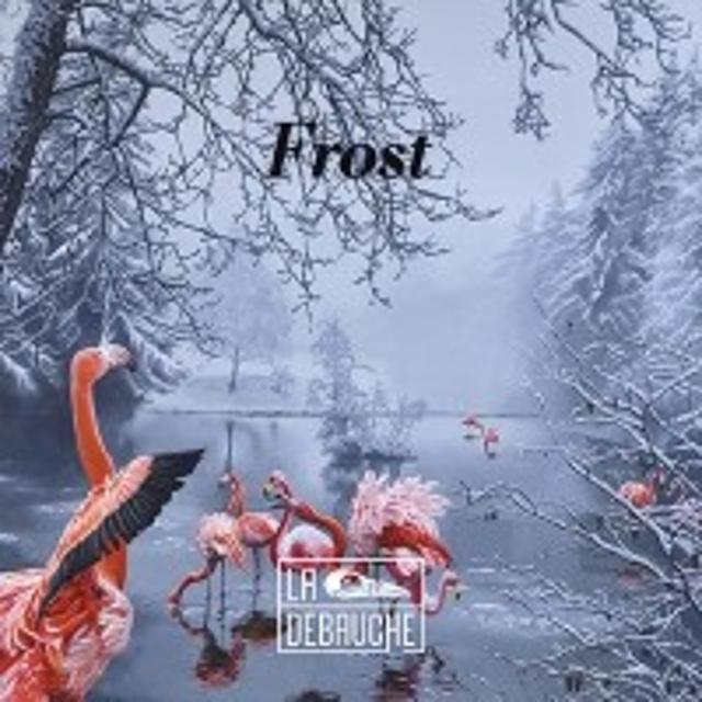 Frost 6.0%, La Débauche, France