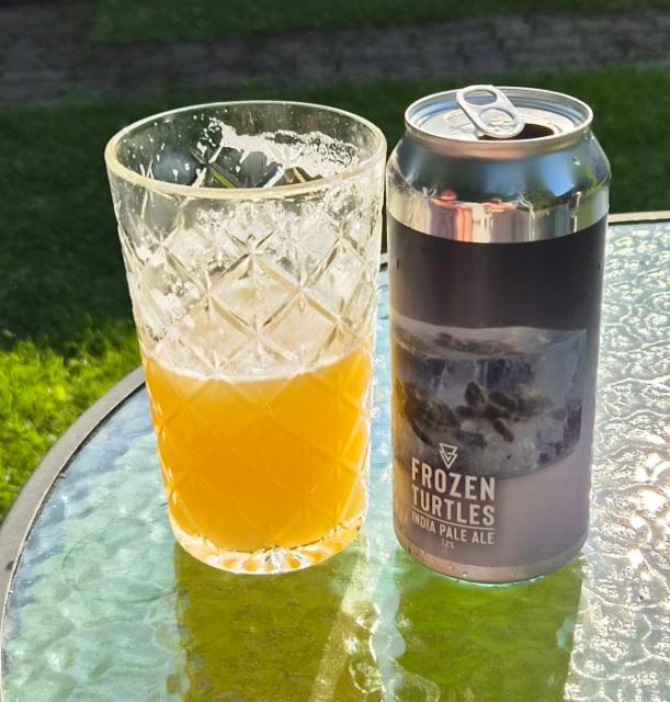 Frozen Turtles 7.2%, Azvex Brewing Company, England