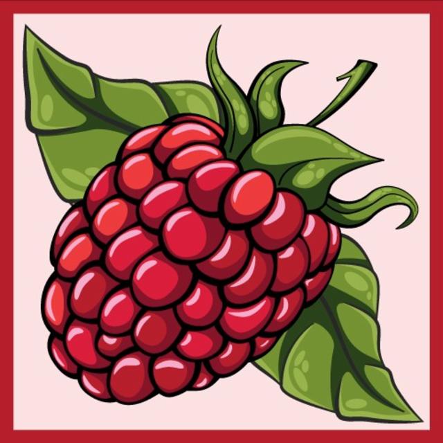 Fruit Expo: Raspberry Sour 5.2%, Nova Runda, Croatia