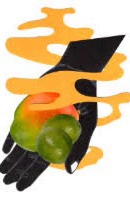 Fruit Salad Days - Mango & Lime 3.8%, Whiplash, Ireland