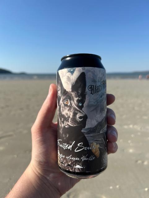 Fruited Sour mangue ananas vanille 4.8%, Octa, France