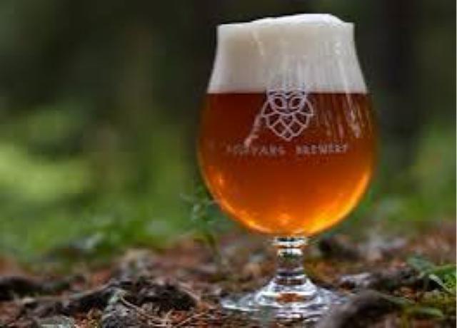 Fruityr 4.8%, Folkvang Brewery, Slovakia