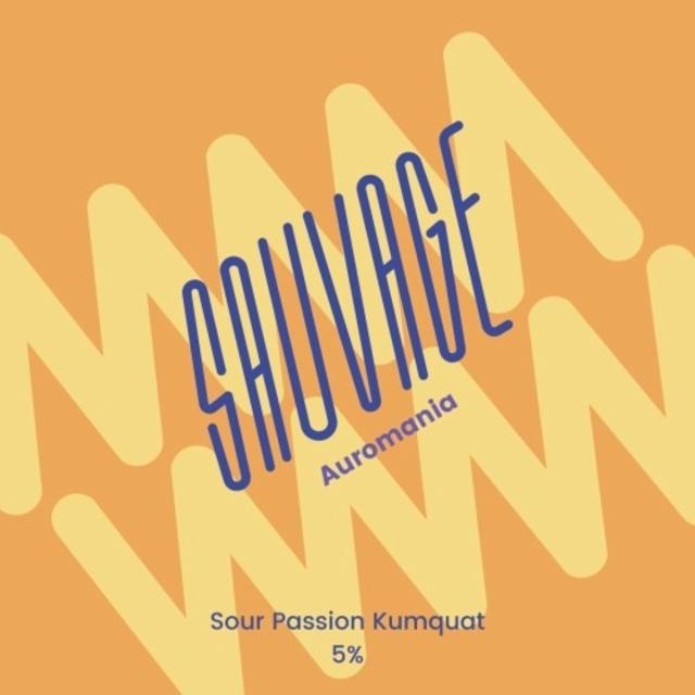 Fureur De Vivre (X Sauvage) 5.0%, Brasserie Cambier, France