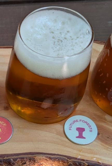 Future Forrests, Abandoned Rail Brewing Co