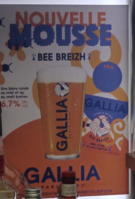 gallia 6.7%, Gallia Paris (Heineken), France