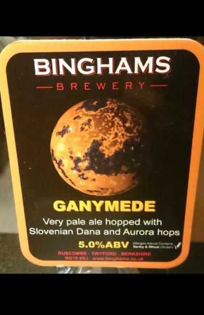 Ganymede 5.0%, Binghams Brewery, England