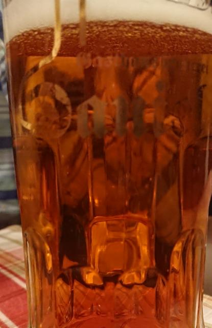 Gasthausbrauerei Daniel Hell, Gasthausbrauerei Daniel