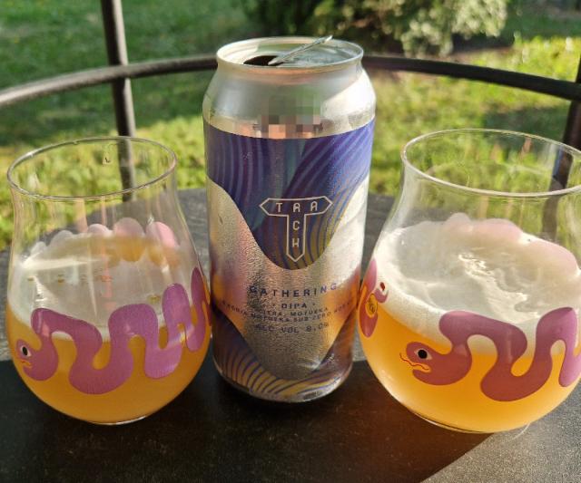 gathering 8.0%, Track Brewing Co., England