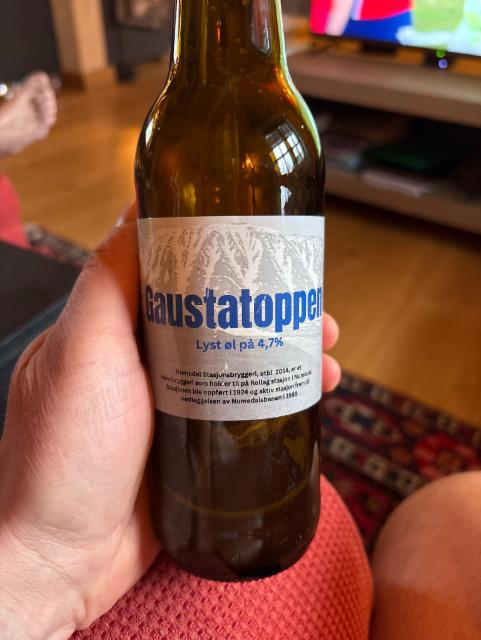 Gaustatoppen, Numedal Stasjonsbryggeri