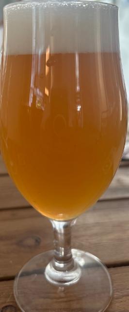 Gegenpress 7.0%, Oso Brew Co., Spain