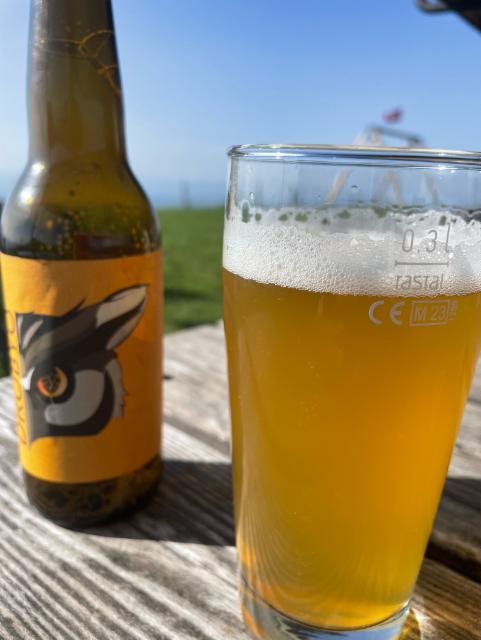 Gemini 5.0%, Drobyo, Switzerland