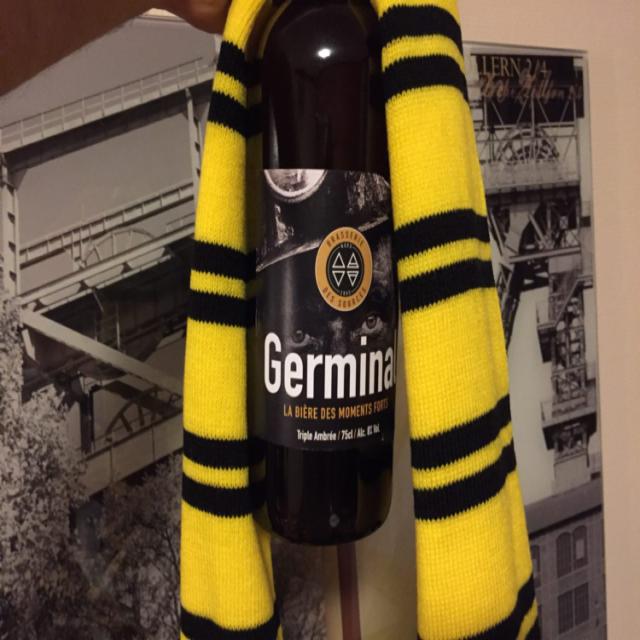 Germinal 8.0%, Brasserie Des Sources, France