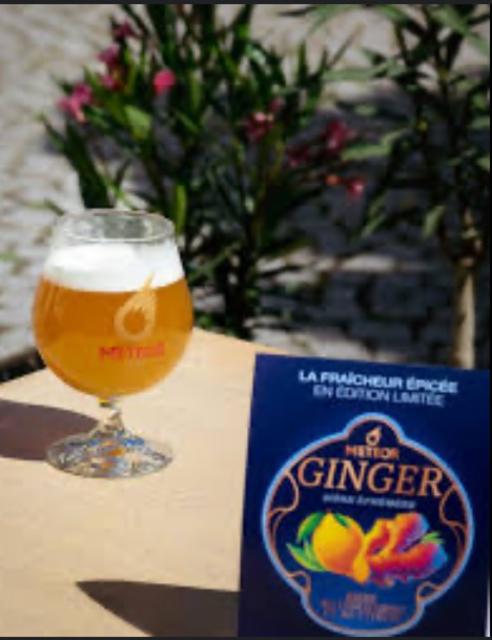 Ginger 5.0%, Brasserie Meteor, France