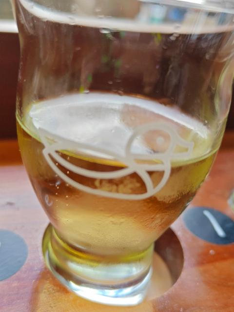 Gingersnap 7.0%, Lake City Cider, Canada