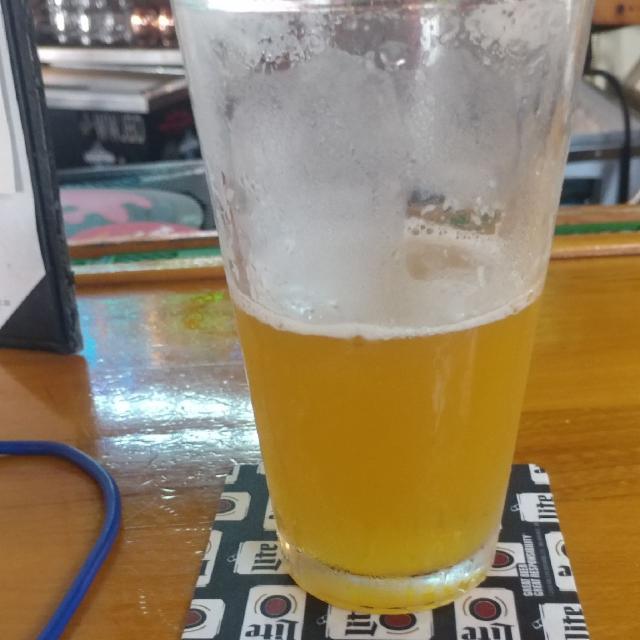 Go Play IPA 5.5%, Avery Brewing Company, United States